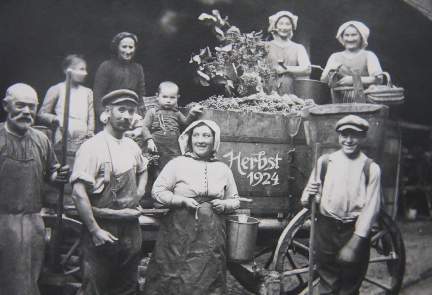 Winegrowers’ Cooperative Königschaffhausen-Kiechlinsbergen - History