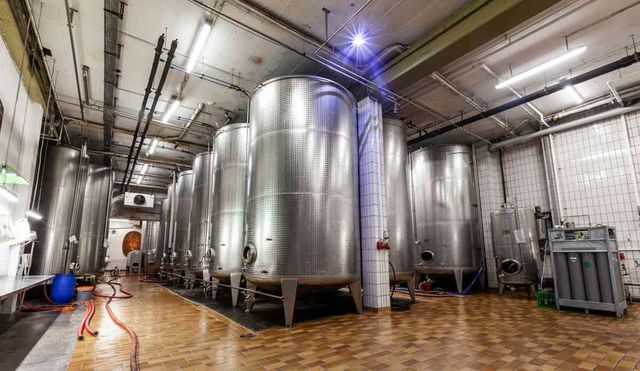 Winzergenossenschaft Königschaffhausen-Kiechlinsbergen - Impressionen