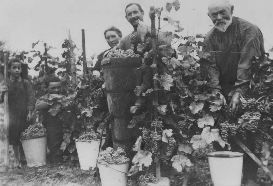 Winegrowers’ Cooperative Königschaffhausen-Kiechlinsbergen - History