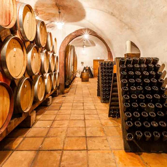Winegrowers’ Cooperative Königschaffhausen-Kiechlinsbergen - Impressions
