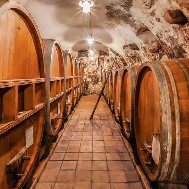 Winegrowers’ Cooperative Königschaffhausen-Kiechlinsbergen - Impressions