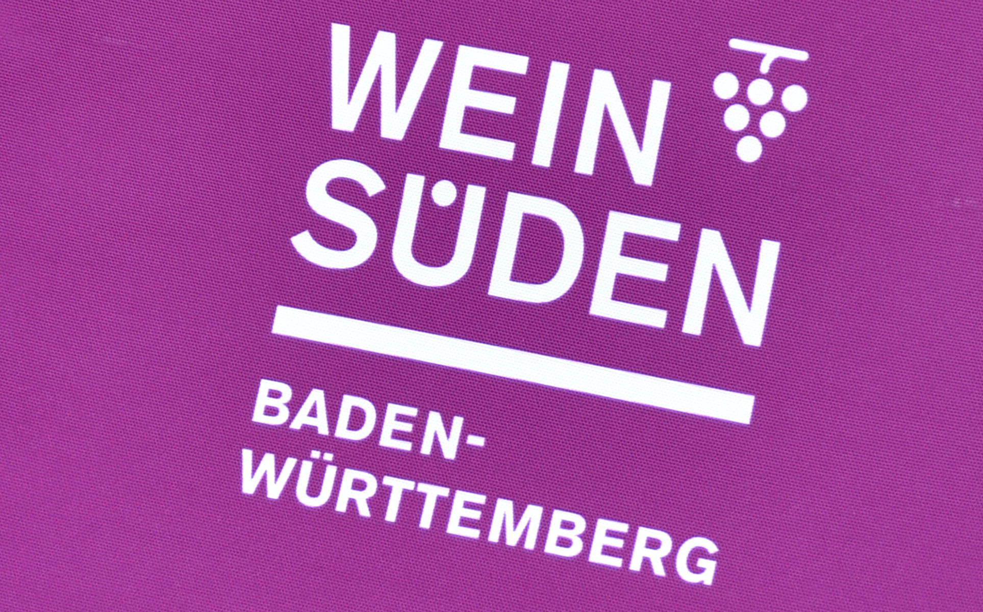 Weinsüden_Logo