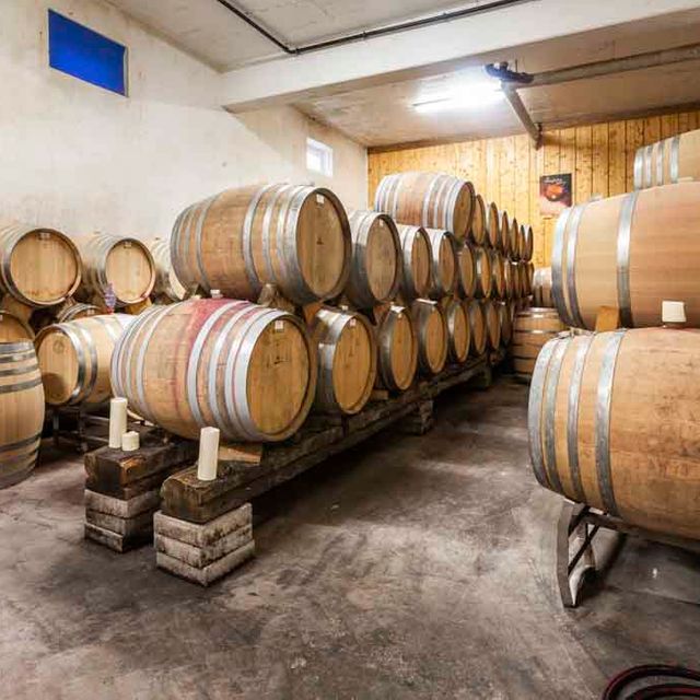 Winegrowers’ Cooperative Königschaffhausen-Kiechlinsbergen - Impressions