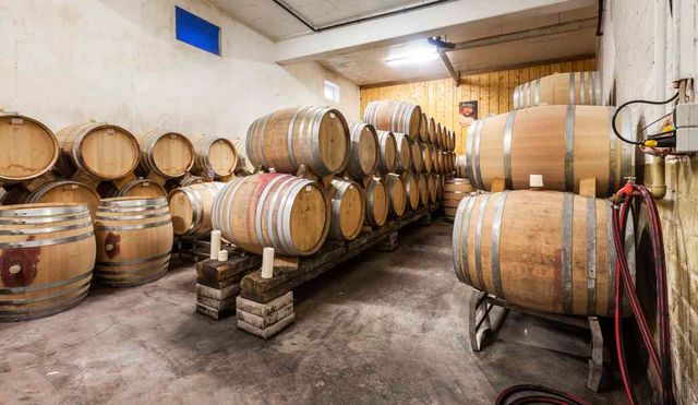 Winzergenossenschaft Königschaffhausen-Kiechlinsbergen - Impressionen