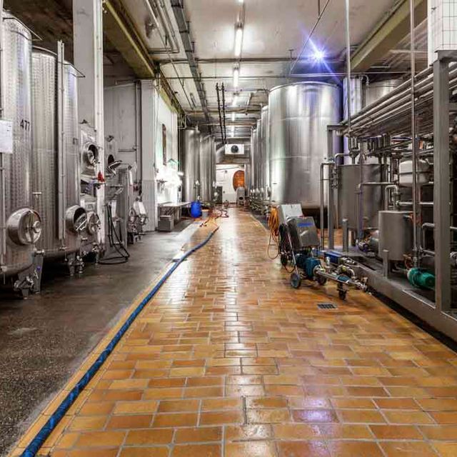 Winegrowers’ Cooperative Königschaffhausen-Kiechlinsbergen - Impressions