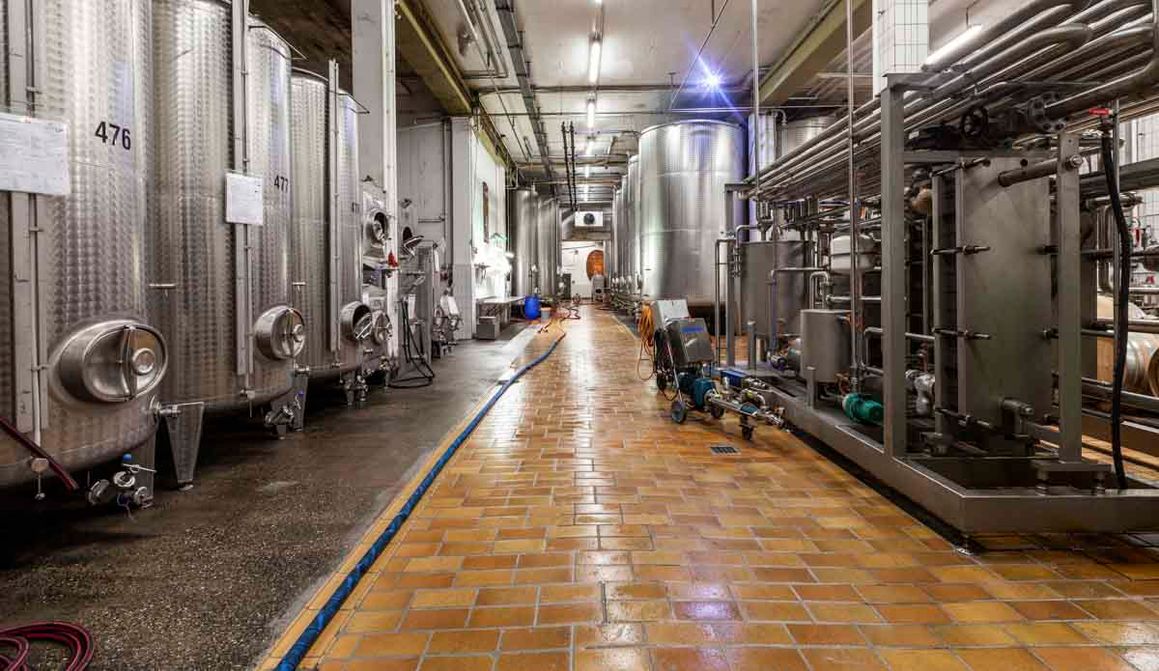 Winzergenossenschaft Königschaffhausen-Kiechlinsbergen - Impressionen